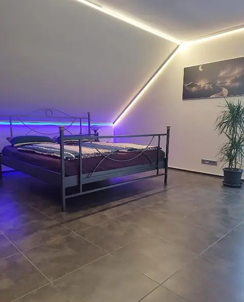 Schlafzimmer 2 mit Doppelbett, Palme und LED-Lichtband an der Dachschräge