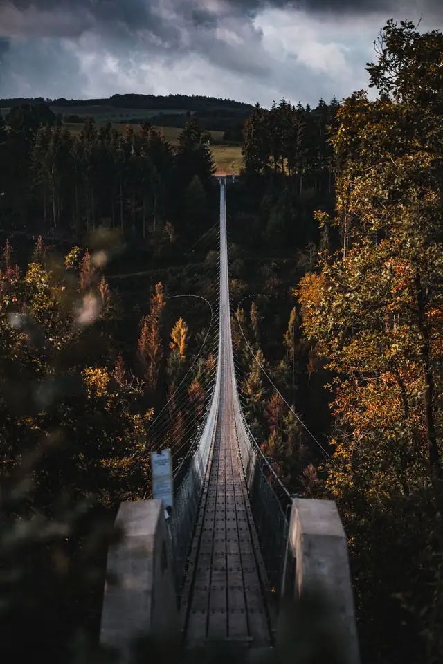 Hängeseilbrücke Geierlay im Herbstwald